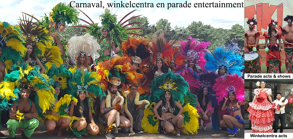 Themafeest Carnaval in Rio